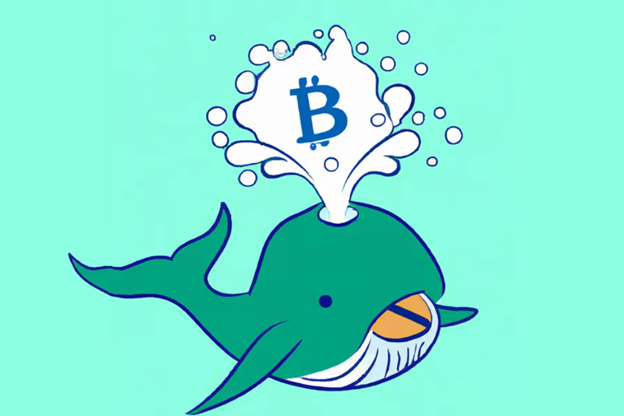 Crypto Whales 