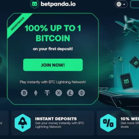 How to Get Started with Betpanda.io Online Crypto Casion?- A Step-Wise Guide