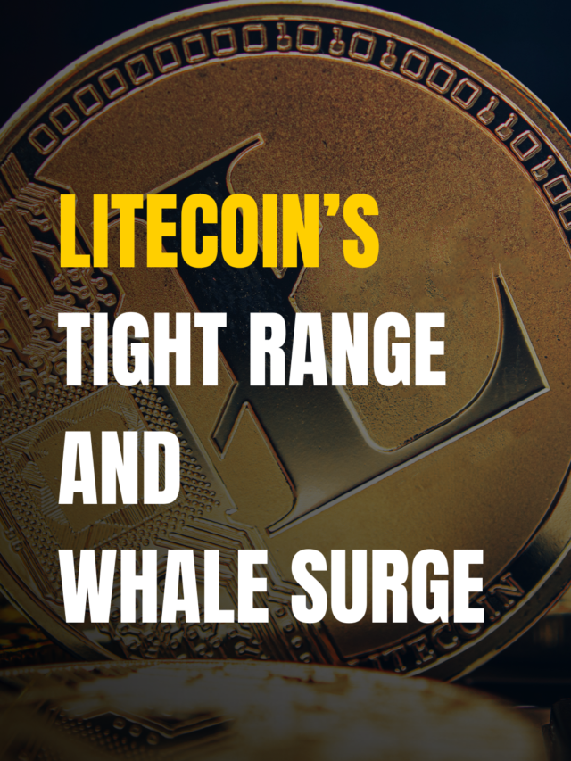 Litecoin whales may boost LTC’s potential for an 18% rally