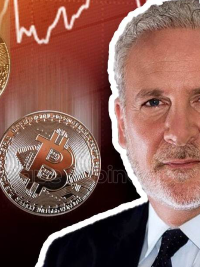 Peter Schiff: Bitcoin Is All About Government Enthusiasm and No More