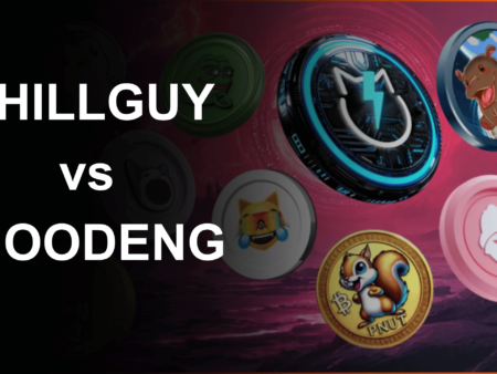 CHILLGUY vs MOODENG: Which Meme Coin Investment Before the Year 2025?