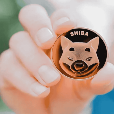 Crypto Shake-Up: North Carolina Bets on Bitcoin, While Shiba Inu Eyes a Big Move