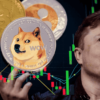 Elon Musk’s X plutocrat Gears Up for Crypto Adoption by Late 2025